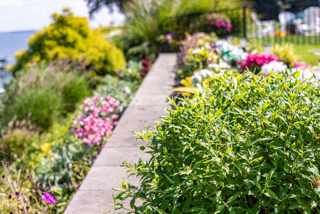 TerraCare Landscaping project